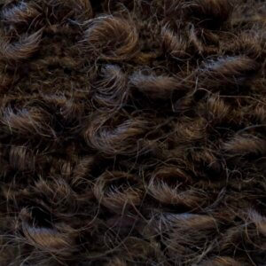 Mohair Poodle