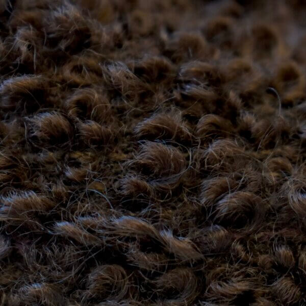Mohair Poodle - 画像 (2)