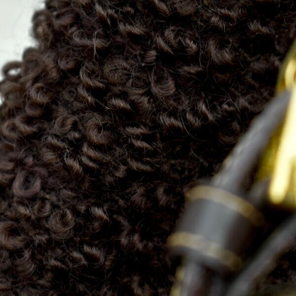 Mohair Poodle - 画像 (7)