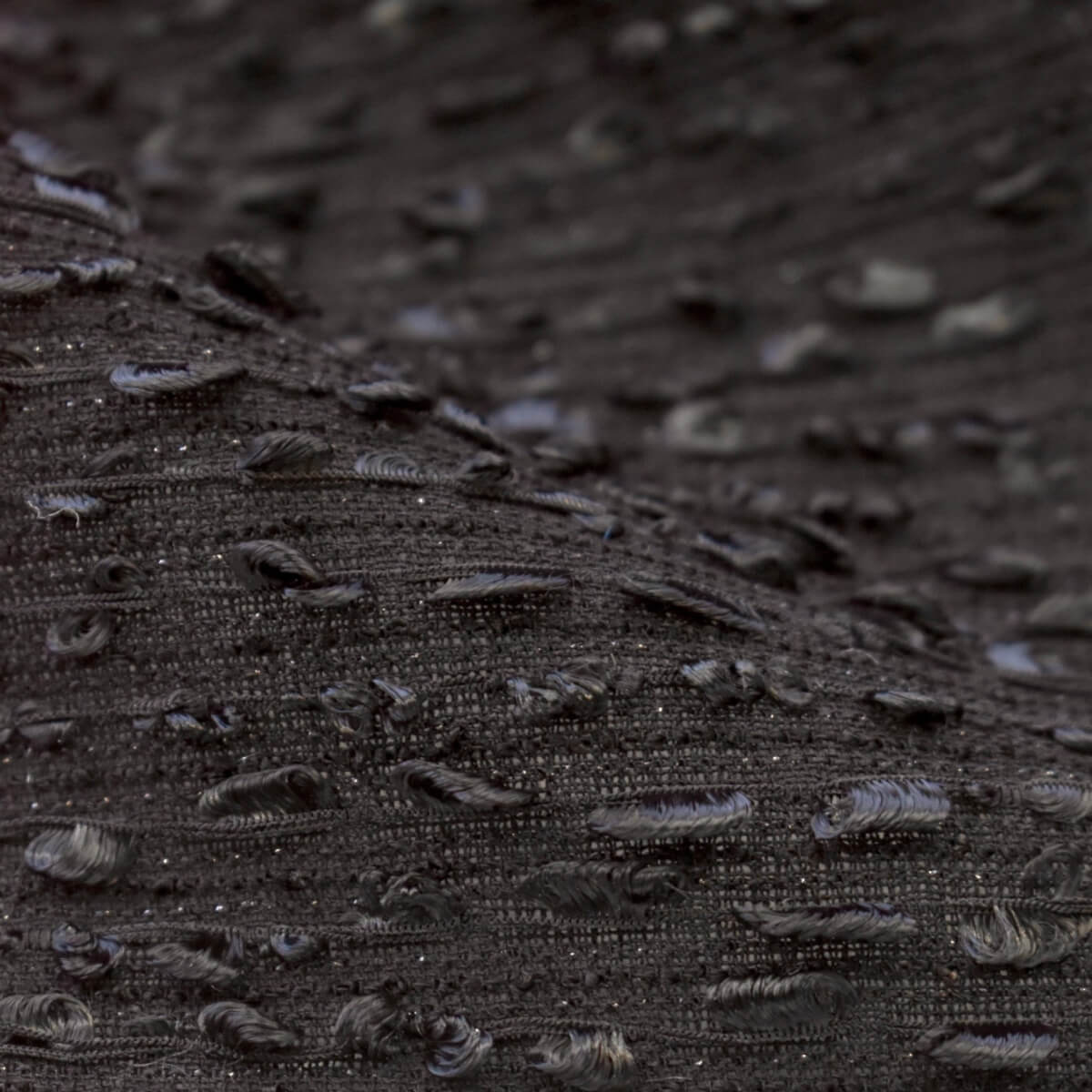 Bright Mussels - 画像 (3)